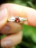 Ugnies lašas – Paveikslėlis 2