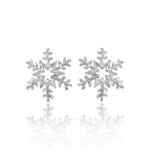 Snaigės -12°C