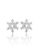 Snaigės -12°C